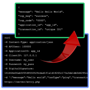 API Curl Call